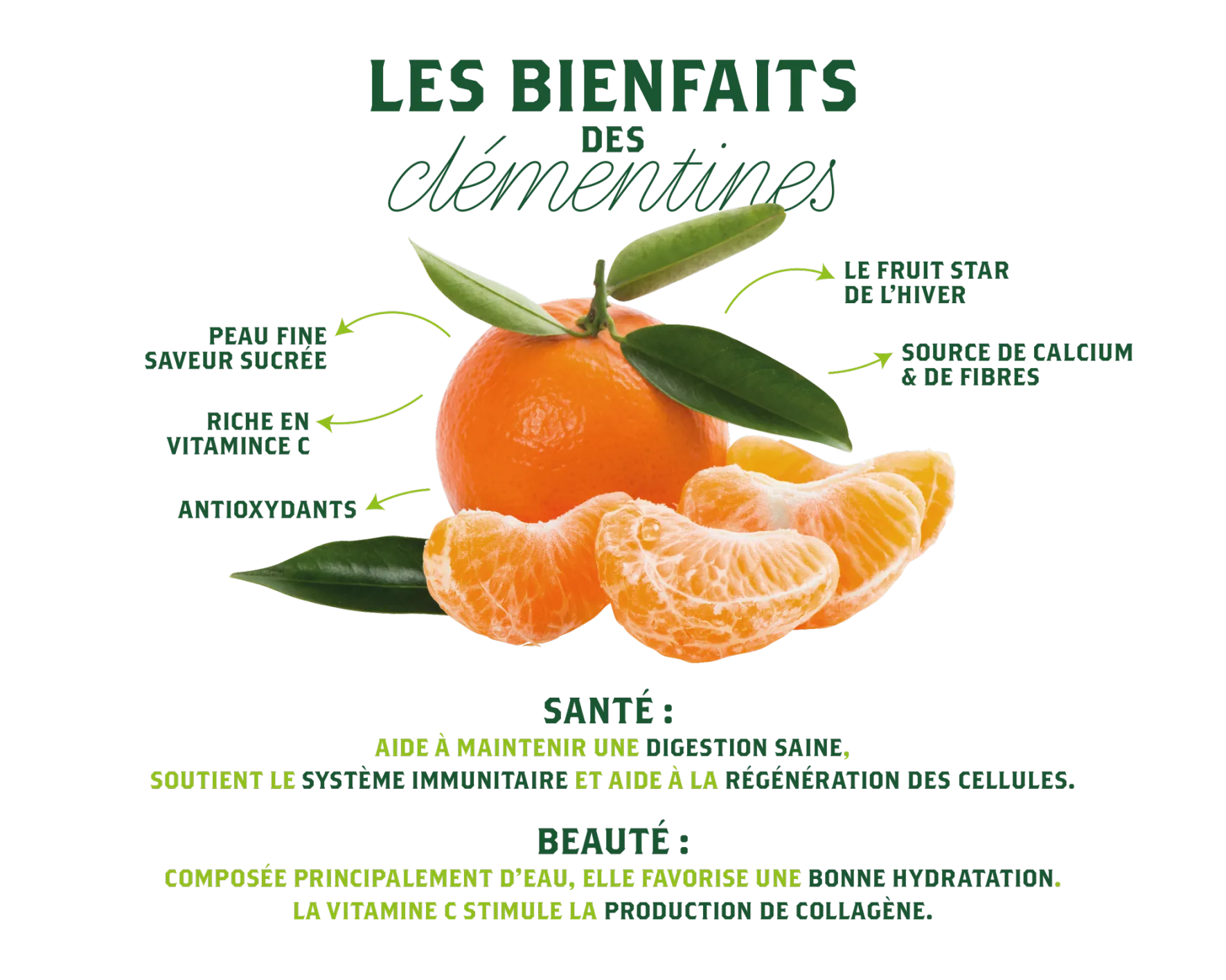 Clémentines IGP Bio Corse