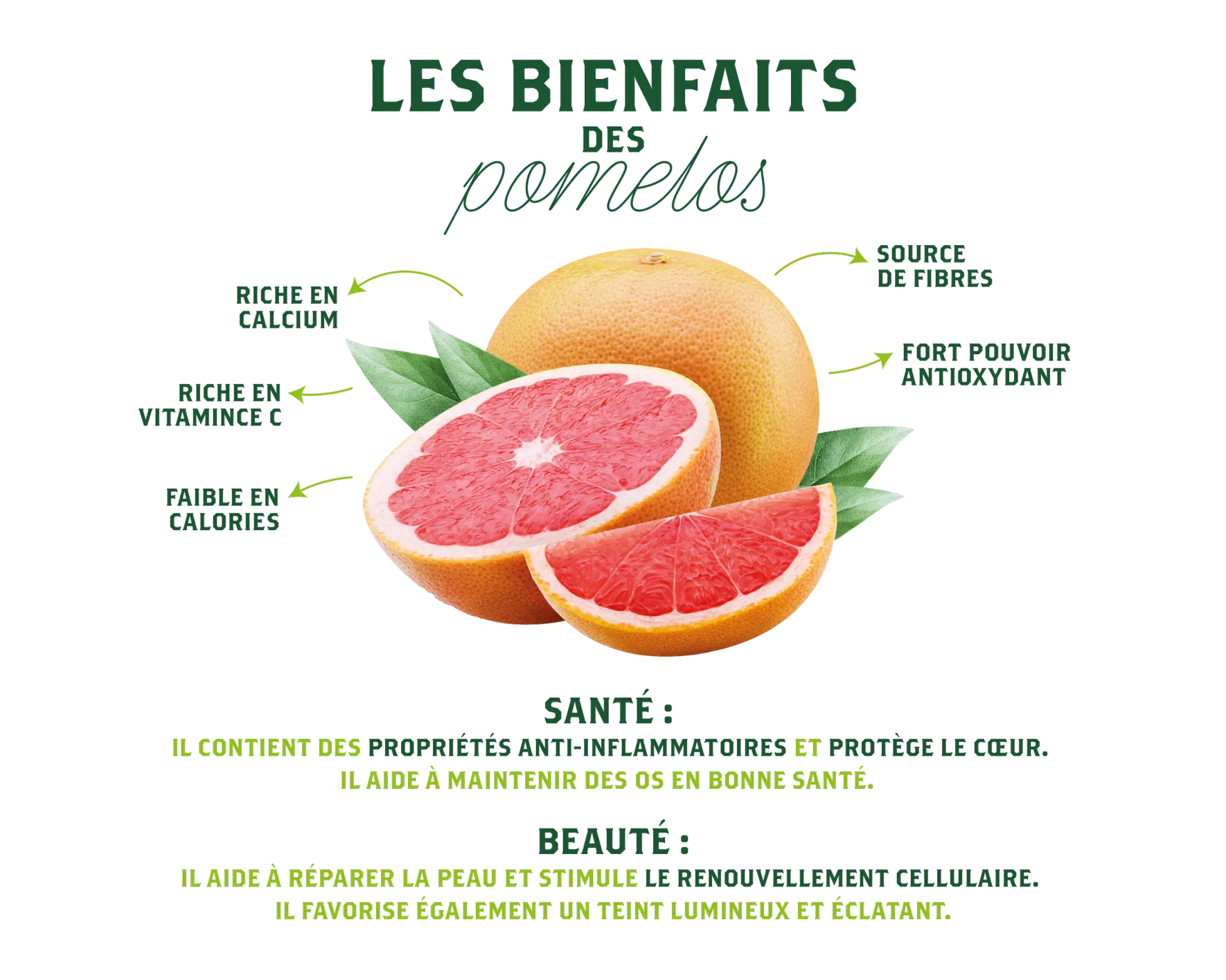 Pomelo Bio Corse