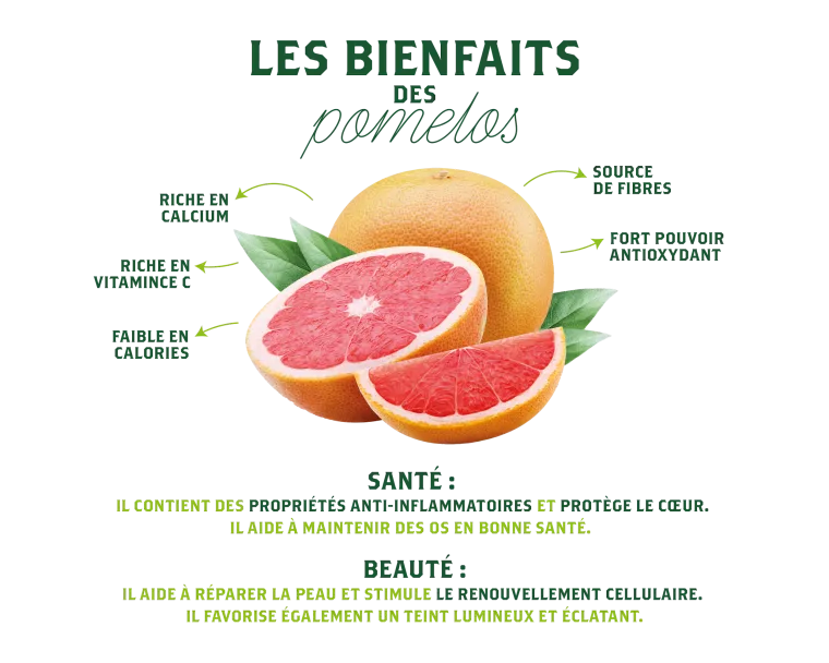 Pomelos de Corse BIO - un mix de Fraîcheur & Saveurs des Pomelos Corse