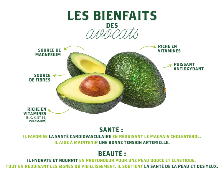 Avocat BIO Français de Corse - Producteur d'avocat Français 100% bio