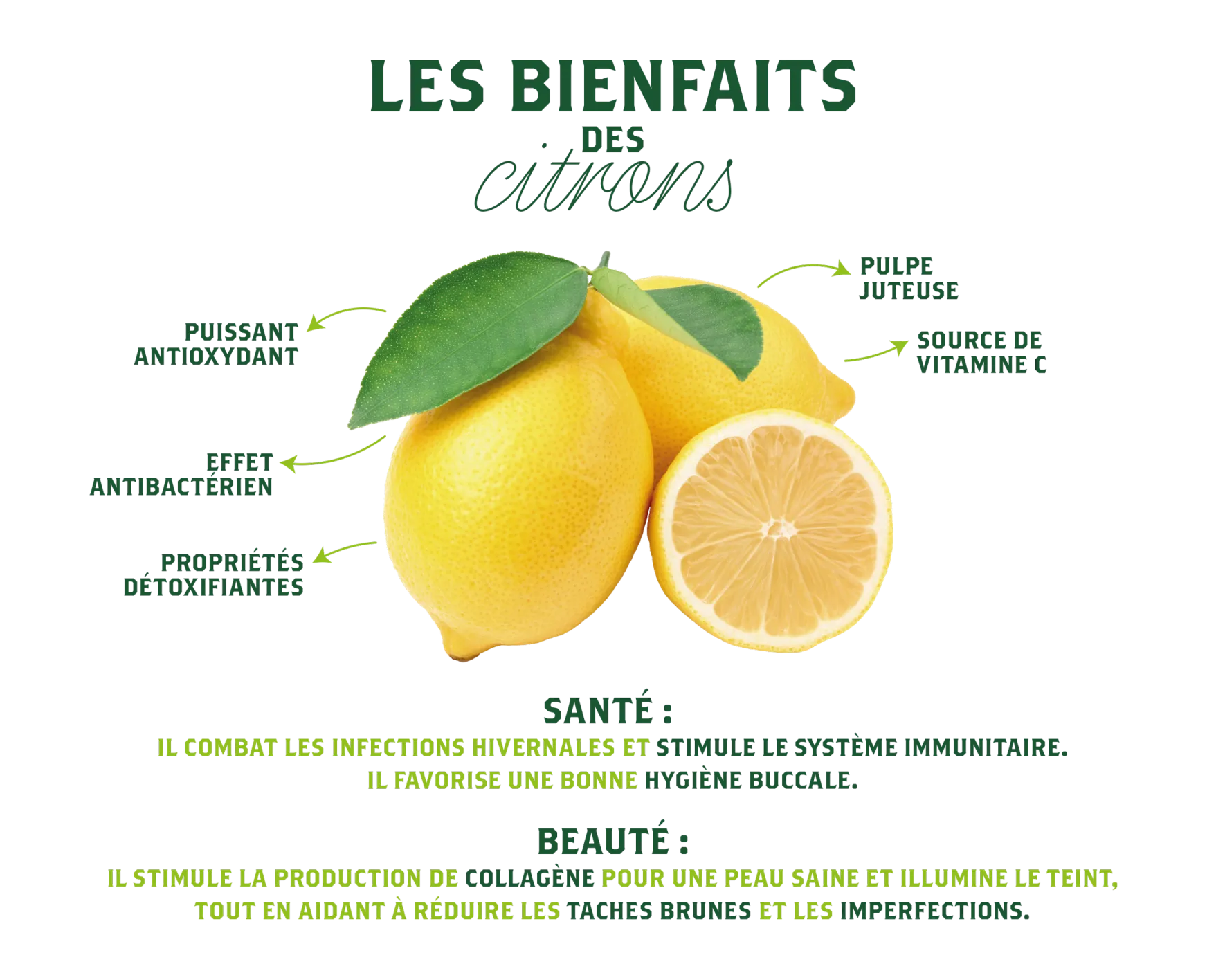 Citrons Bio Corse