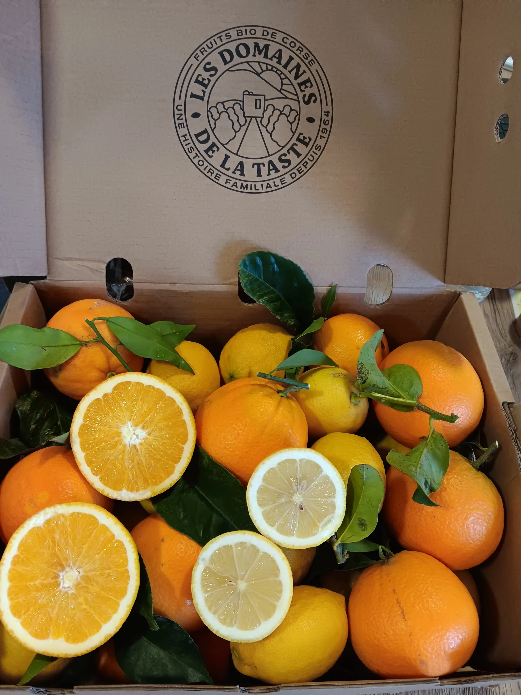 mixte oranges citrons