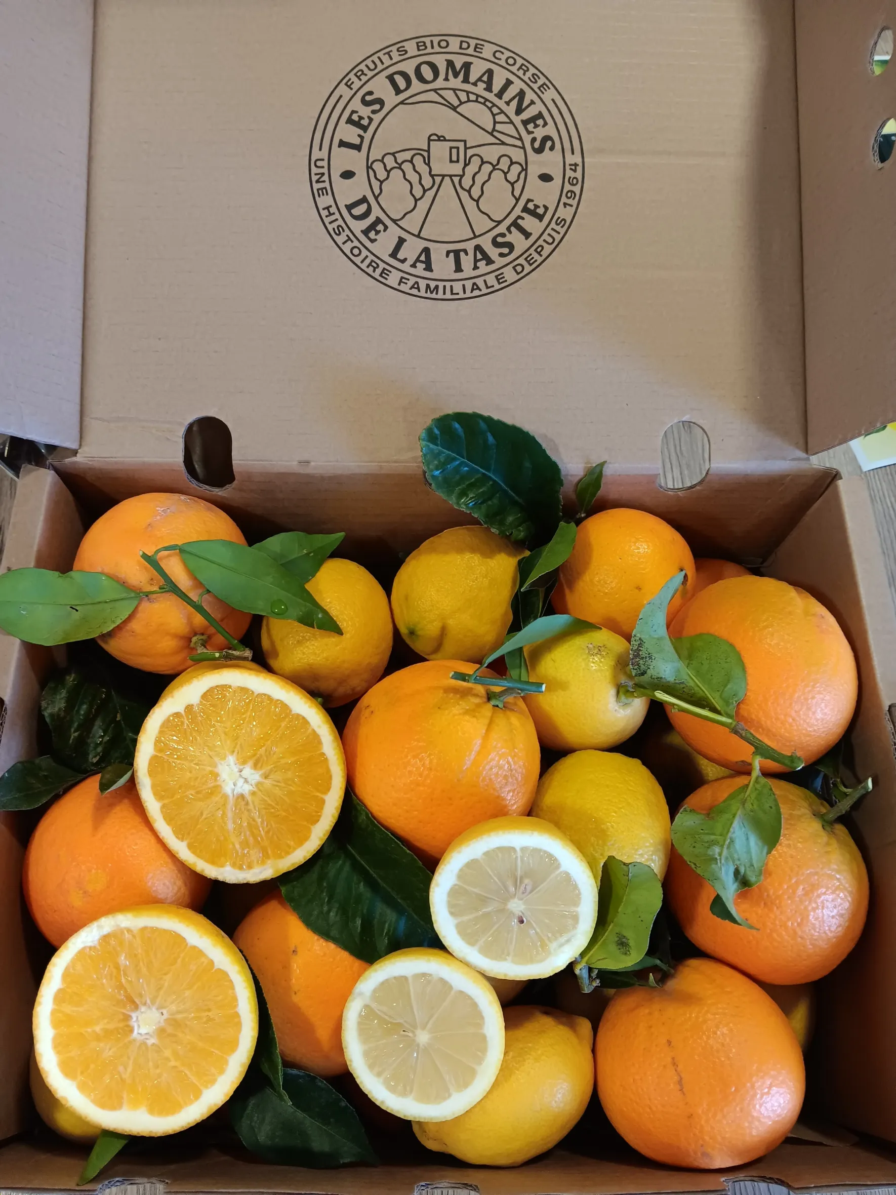 mixte oranges citrons