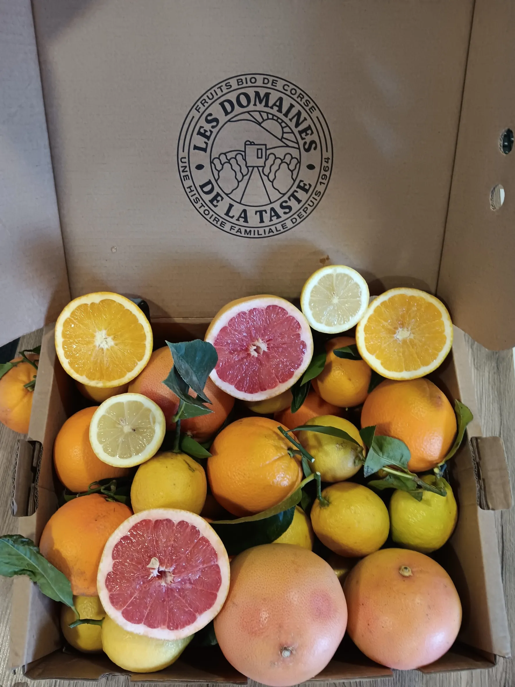 gemischte Orangen Zitronen Grapefruit