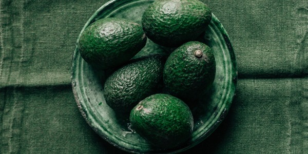 Pourquoi l'avocatier s'épanouit en Corse : une production 100% bio et responsable